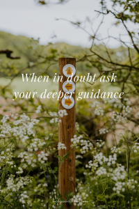 When in doubt ask your deeper guidance.